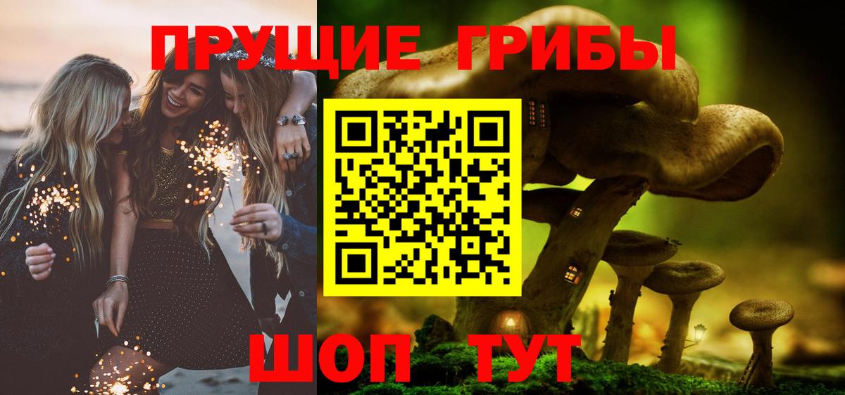 Псилоцибиновые грибы прущие грибы Кувандык